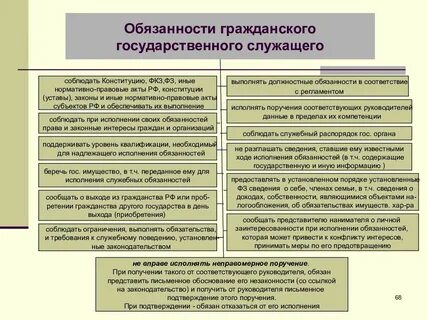 Трудовая функция государственного служащего