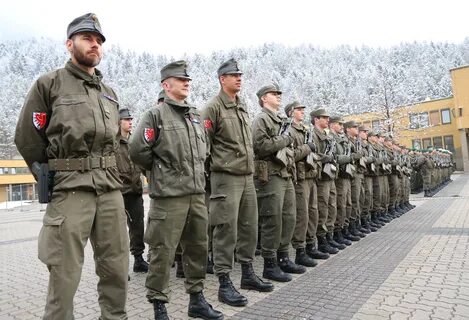 Австрийское войско