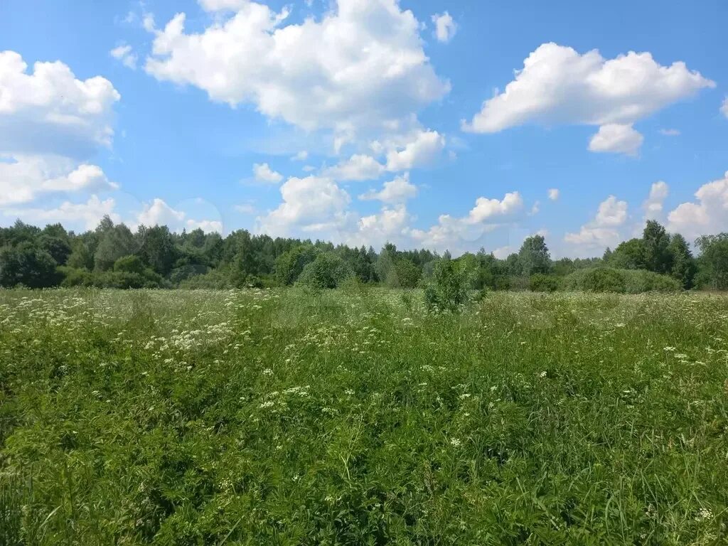 Дача орудьево снт чайка. Участок 68 км. Деревня булгаково калужская область. Бубново. Сумароково 2 коттеджный поселок.