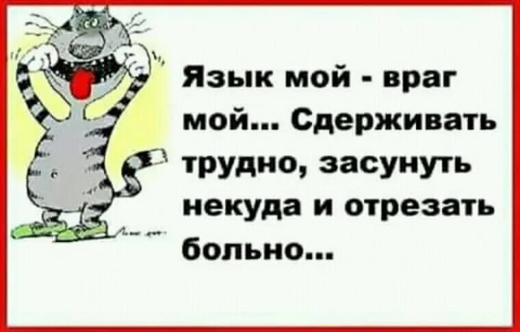 Язык мой враг мой значение пословицы. Язык мой враг мой. цитаты язык мой враг. язык враг мой приколы. поговорка язык мой враг.