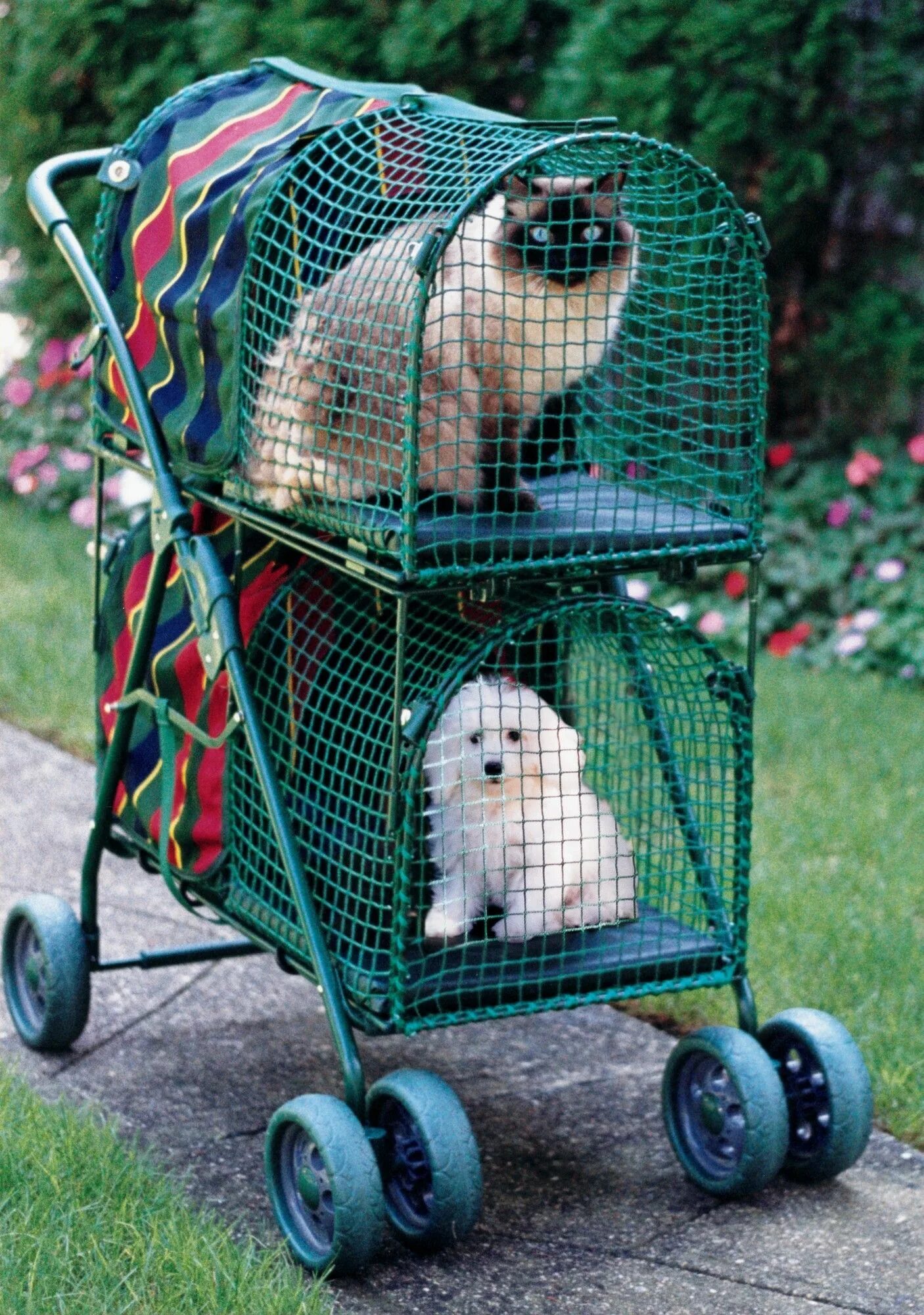 Коляска для котов. Кот в коляске. Коляска для котов прогулочная. Pet Stroller.