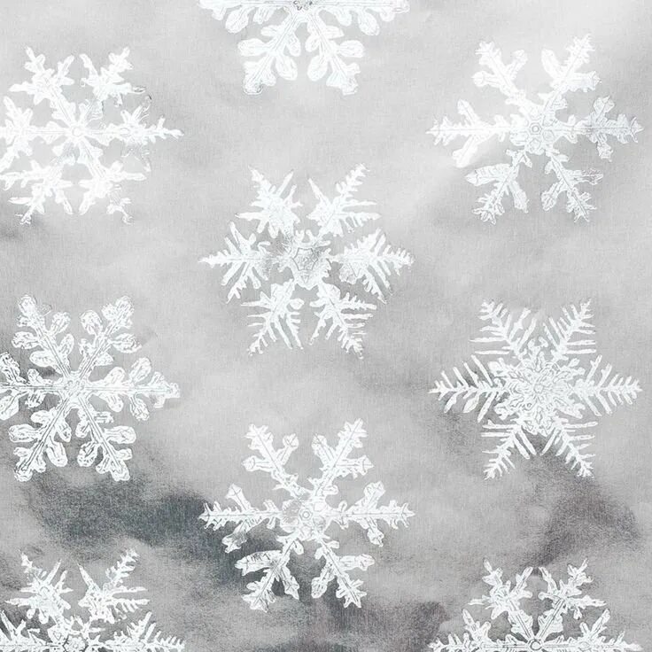 фон мелкие снежинки. серые снежинки. морозный фон. снежинки на белом фоне. зимний фон снежинки.