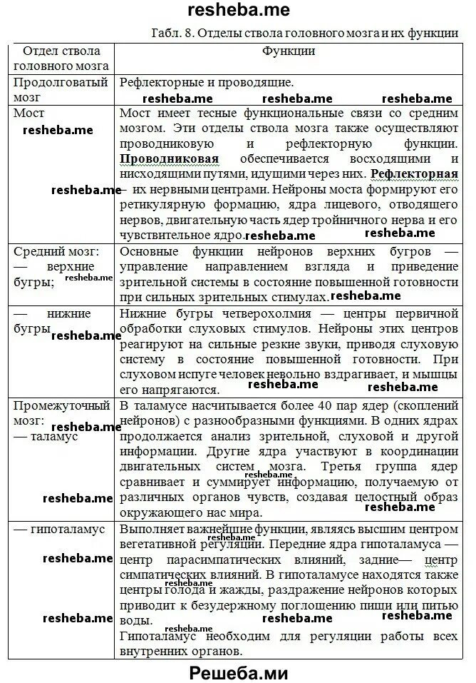 Функции отделов головного мозга таблица 9 класс. Отдел ствола головного мозга особенности строения функции. Таблица название отдела головного мозга строение и функции. Доли головного мозга строение и функции таблица.