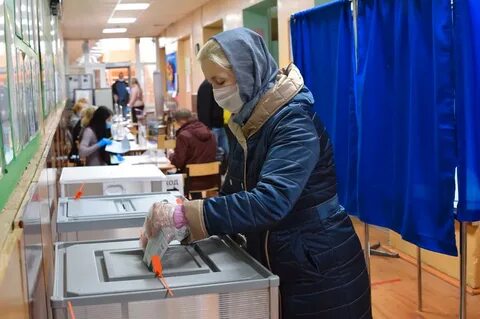 Явка на выборах 24
