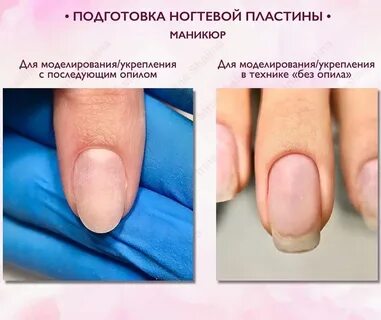 Формы ногтевой пластины