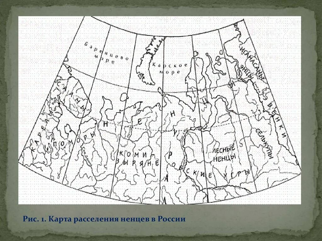 Ненцы районы проживания. Карта расселения ненцев в России. Ненцы карта расселения. Расселение ненцев в России. Территория расселения ненцев в России.