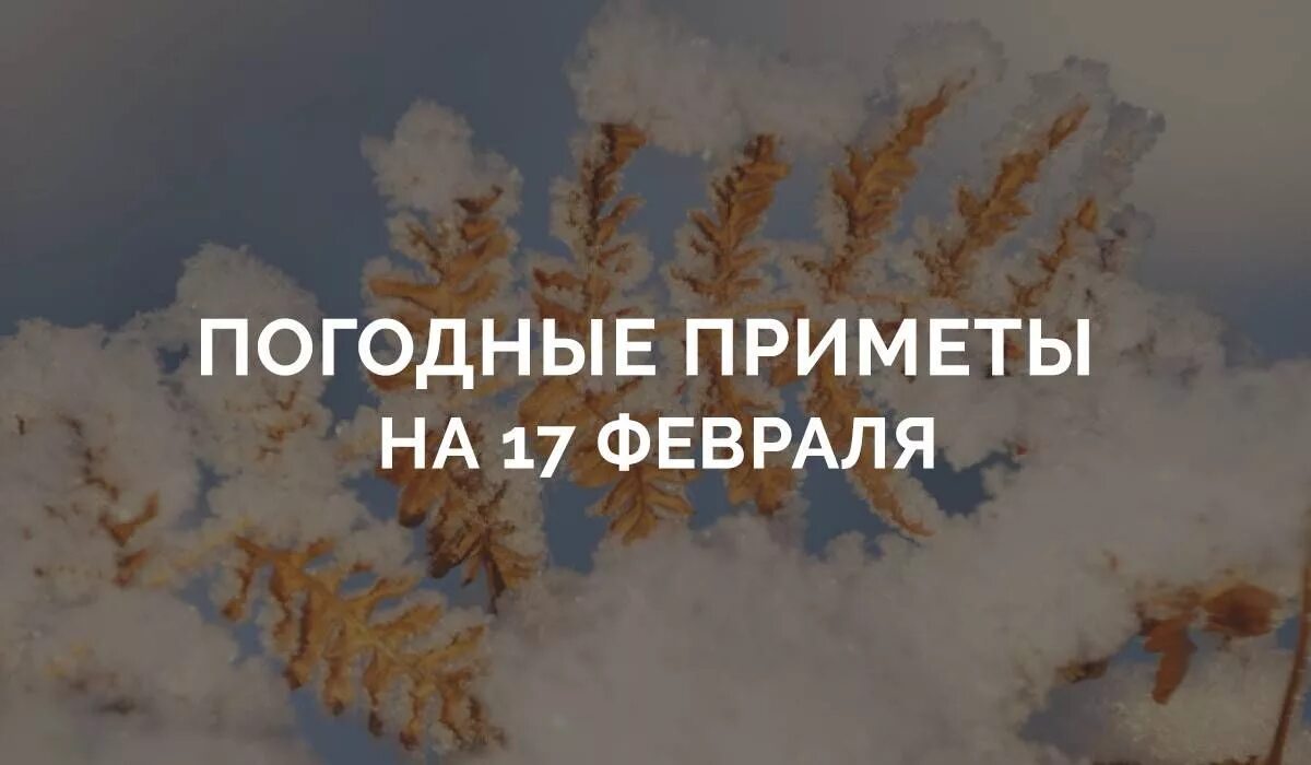 Погодные приметы на март. 21 Февраля народные приметы. Погодные приметы 21 февраля. Народные приметы на 17 февраля. Картинки примет на 21 февраля.