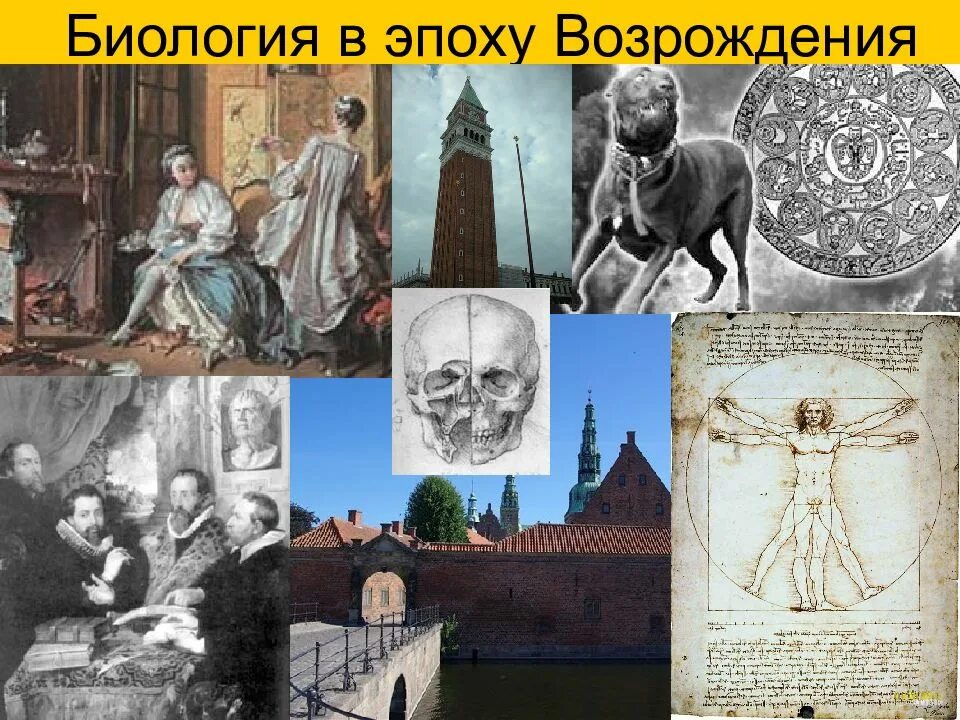 Возрождение и знания. Эпоха Возрождения биология. Биология в эпоху античности. Период Возрождения биология. Наука в древности эпоха Возрождения.