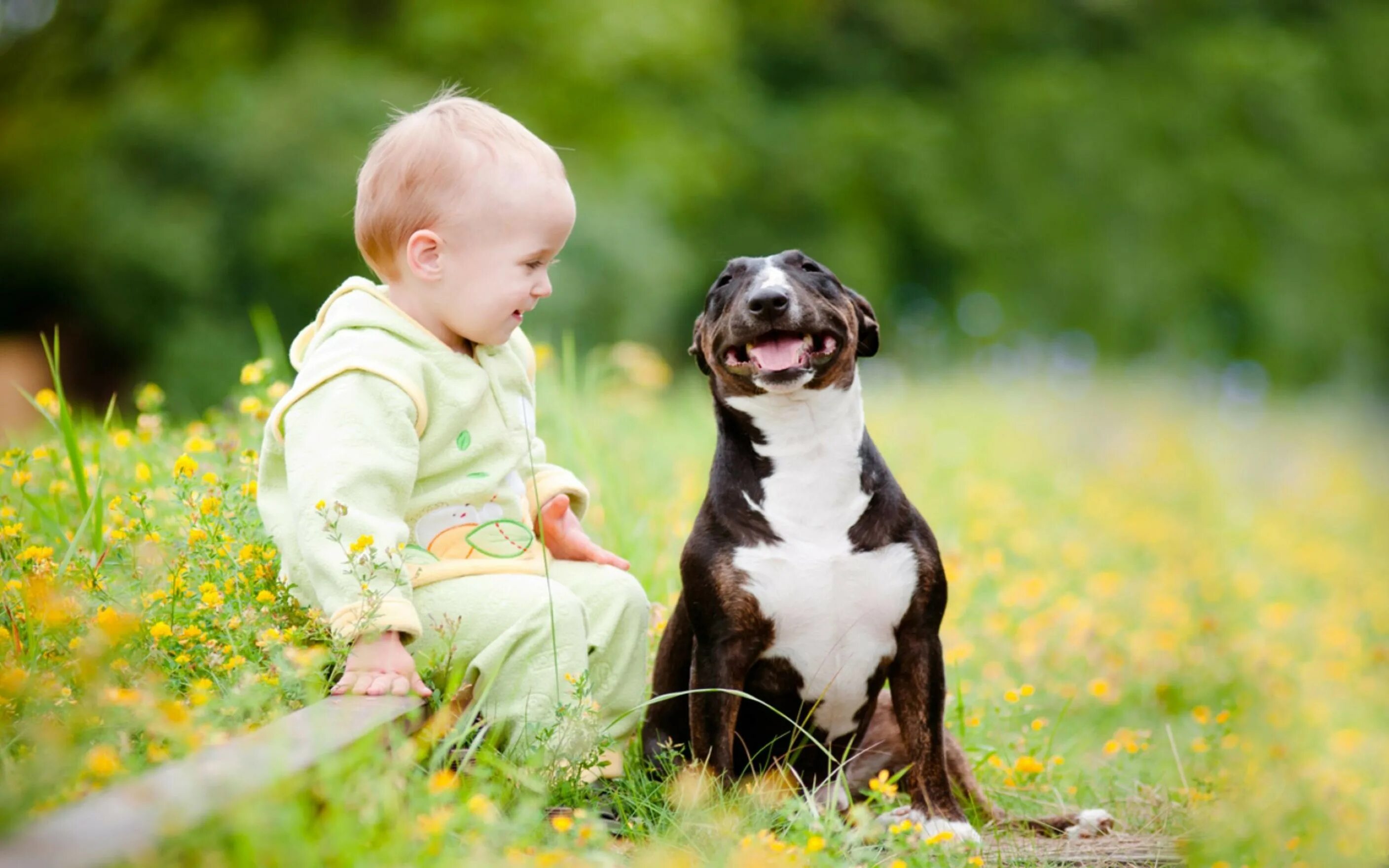 Baby pet. Для детей. Животные. Собака для детей. Дети с животными. Добрые собаки для детей.