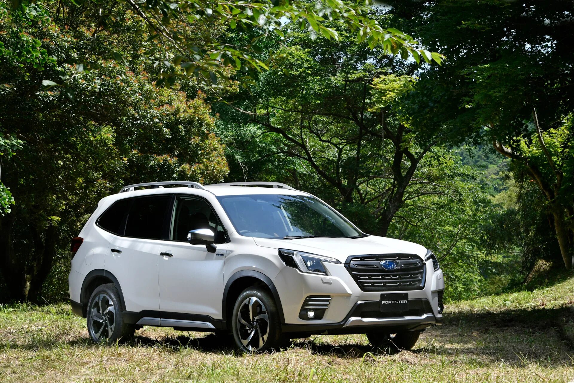 Subaru Forester 2022. Новый Субару Форестер 2022. Субару Форестер 2021. Субару Форестер спорт 2022. Новый субару форестер 2024 цена