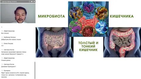 Мозг кишечник кожа