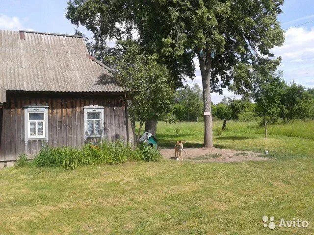 Деревня стайки. Село стайки. Село стайки. Село стайки. Село стайки.