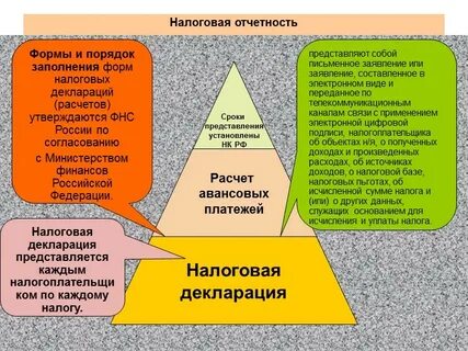Дисциплина налог
