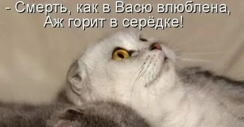Люблю куда деваться