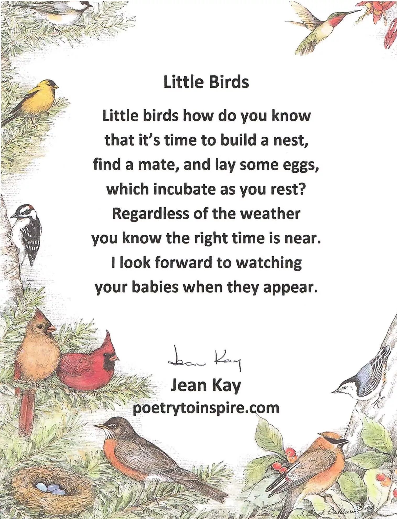I a bird перевод. Little Bird a poem. Poems about Birds. Стихотворение Birds. Little Bird стихотворение.