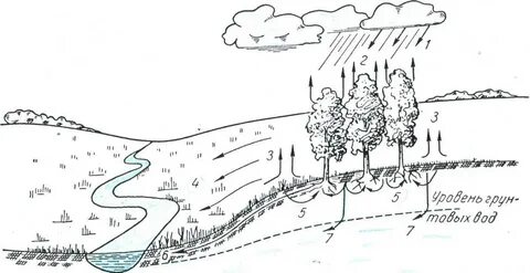 Водный схема