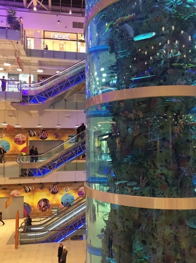 трц аквапарк. трц аквапарк. ходынское поле торговый центр авиапарк. метро динамо торговый центр авиапарк. трц аквапарк.