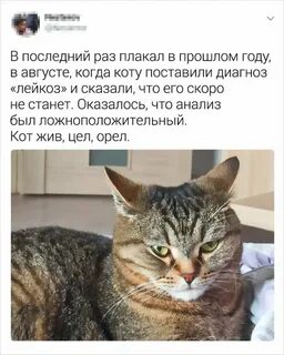 Раз плакали