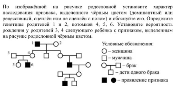 Определите вероятность в процентах появления рецессивной. Составление родословной биология 9 класс. Определите Тип наследования признака. Родословная задача по генетике. ЕГЭ генетика родословная схема.