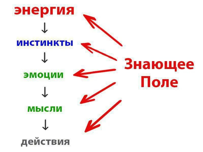 Макдугалла. Таблица инстинкты эмоций. Инстинктивный интеллект. У аутистов савантов память и эмоции. Логика и эмоции.