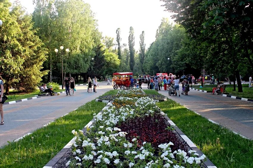 Парк гагарина белгород. Парк Победы Белгород. Городской парк Победы Белгород. Белгород в цвету 2022 парк Победы. Парк Победы в Белгороде летом.