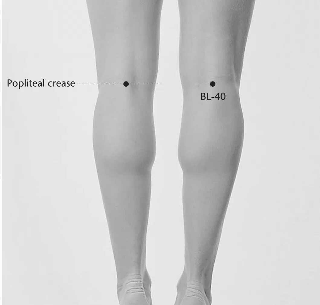 B идеальная точка. Точка v40 Вэй-Чжун. Точка bl40. V40 точка акупунктуры. Точку Вэй-Чжун (BL 40) под коленом,.