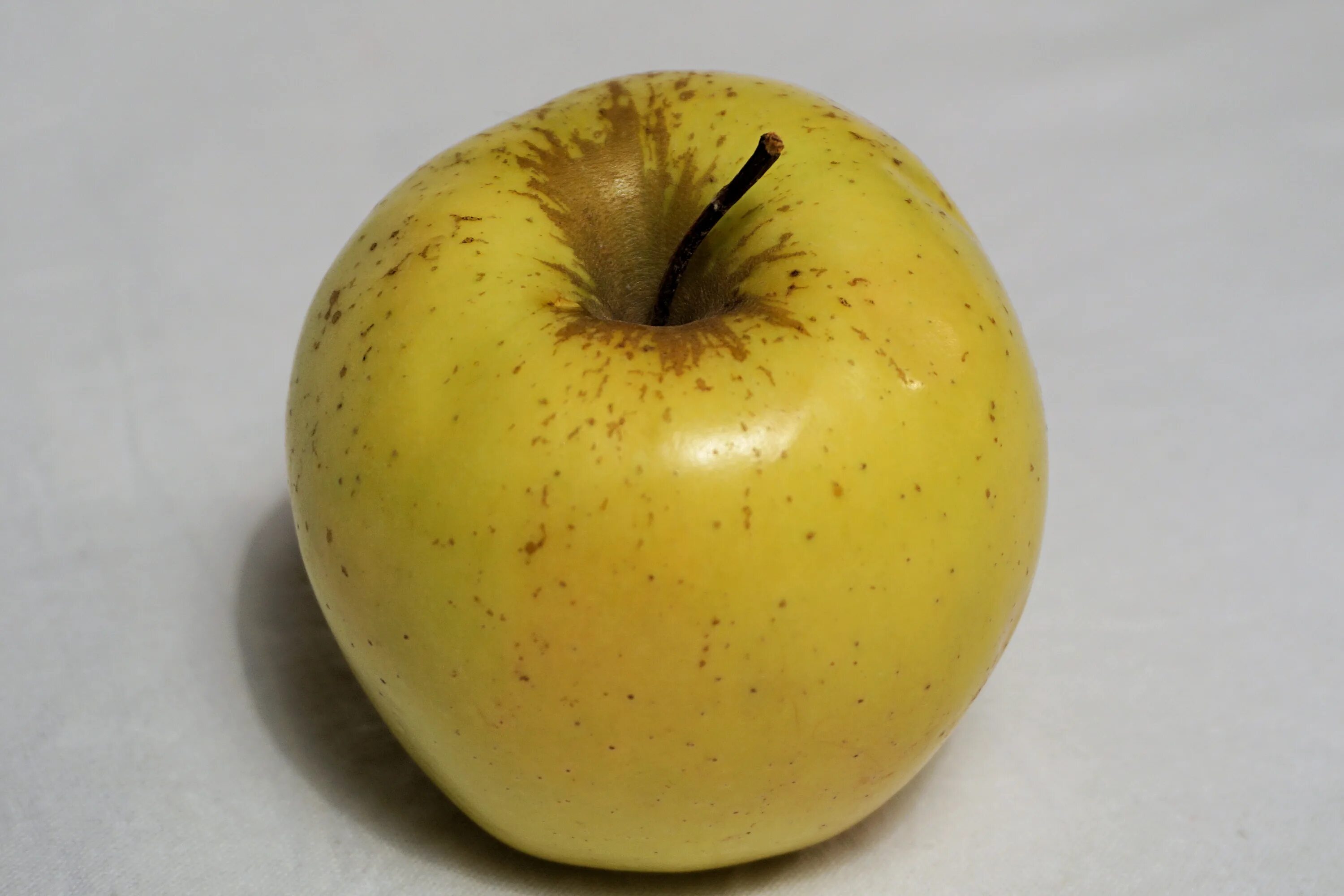 Почему яблоко желтое. Стекловидность плодов яблони. Яблоки зеленые. Яблоки желтые. Одно яблоко.
