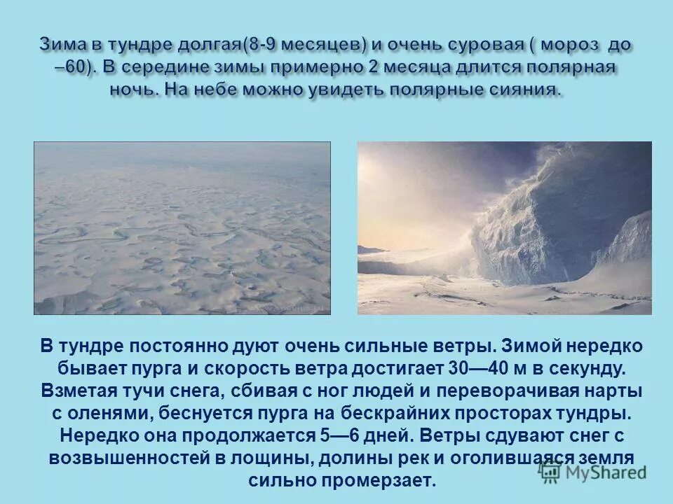 метель. в тундре дуют сильные ветры. ветры и пурга в тундре. ветры и пурга в тундре. ветер зимой.