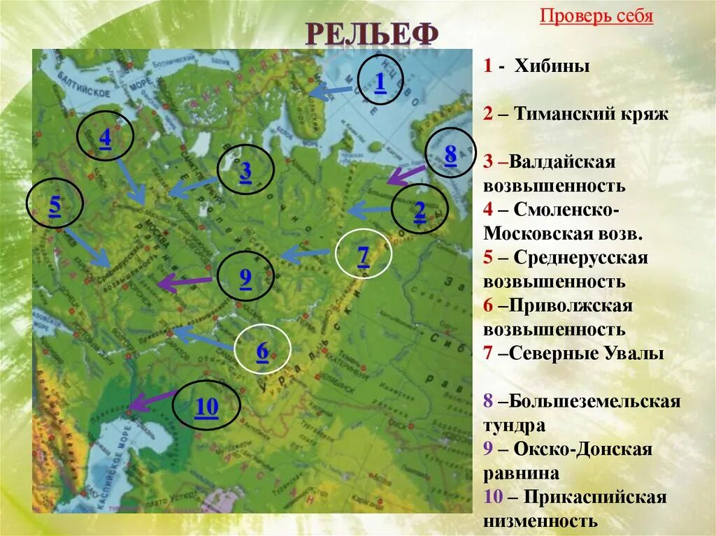 Окско Донская равнина на карте. Окско Донская низменность на карте России. Окско-Донская низменность на карте. Окско Донская возвышенность на карте. Рельеф где расположен природный комплекс