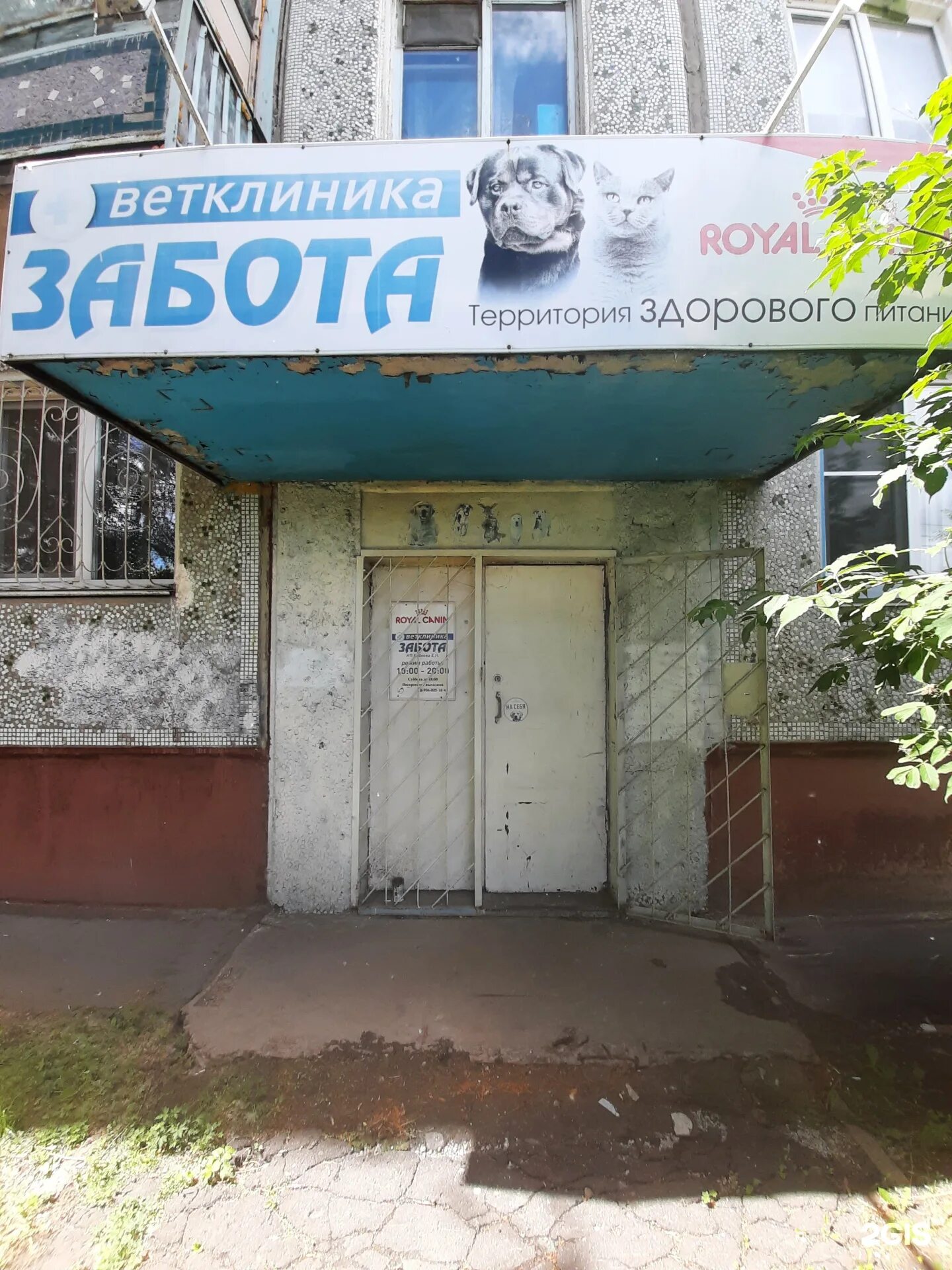 Ветклиника забота уфа первомайская 83. Директор медицинского центра забота. Ветклиника забота уфа. Ветклиника забота уфа первомайская 83. Ветклиника на сибирском проспекте 27.