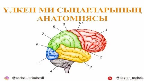 Менің аузыма үлкен сиқыр сыймайды