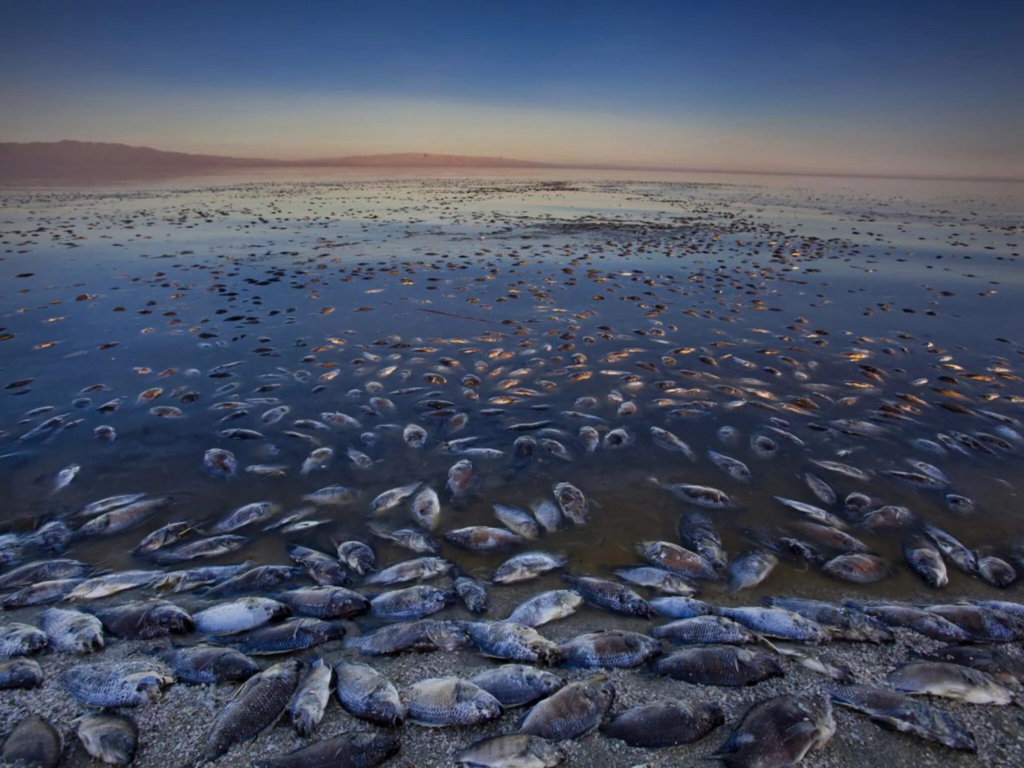 Океаны было и стало. Солтон си озеро. Аральское море. Аральское озеро. Аральское озеро экологическая катастрофа.