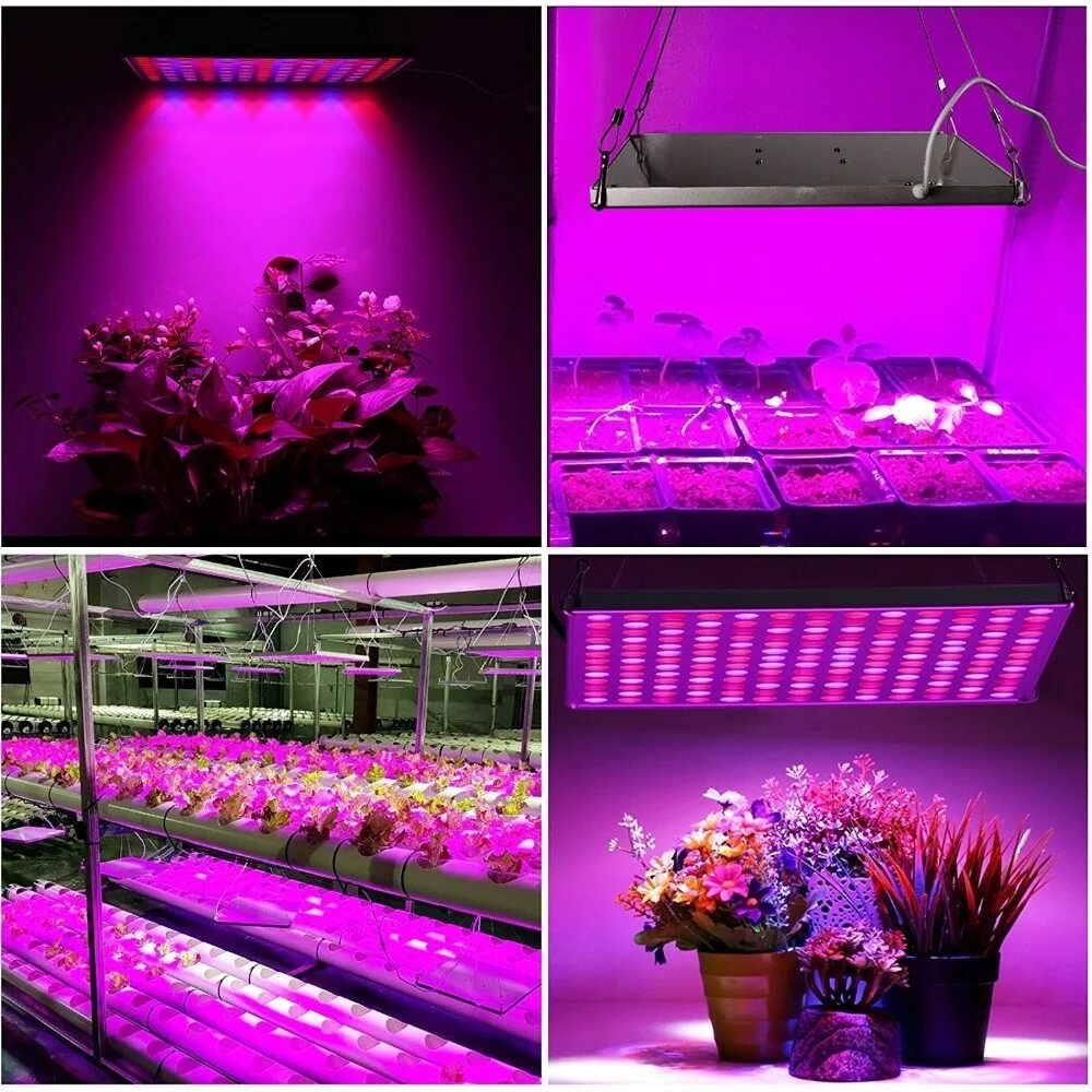 Led plant lights. Фитолампа 440 660 НМ. Фитолампа светодиодная 50вт. Спектр лед лампы для растений. Фитолампа led grow Light.