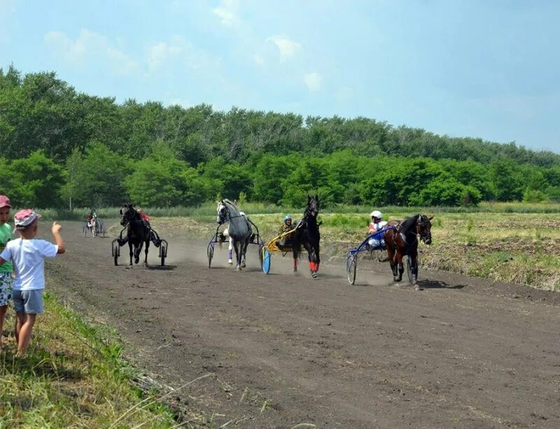 Погода на неделю в касторном курская. Рабочий посёлок касторное школа 1. Касторное курская область население. Касторное курская область население. Вести касторное.