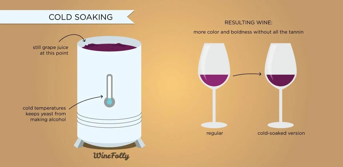 Wine processing. Cold soaking. wine making process. скин контакт вино. port wine цвет.