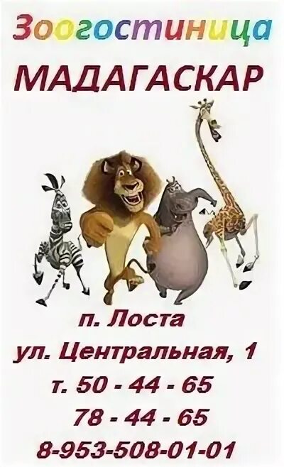 Турфирма мадагаскар вологда. Турфирма мадагаскар вологда. Турфирма мадагаскар вологда. Турфирма мадагаскар вологда. Турагентство мадагаскар город тула.
