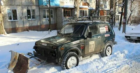 Курская нива