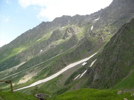 Цей северная осетия