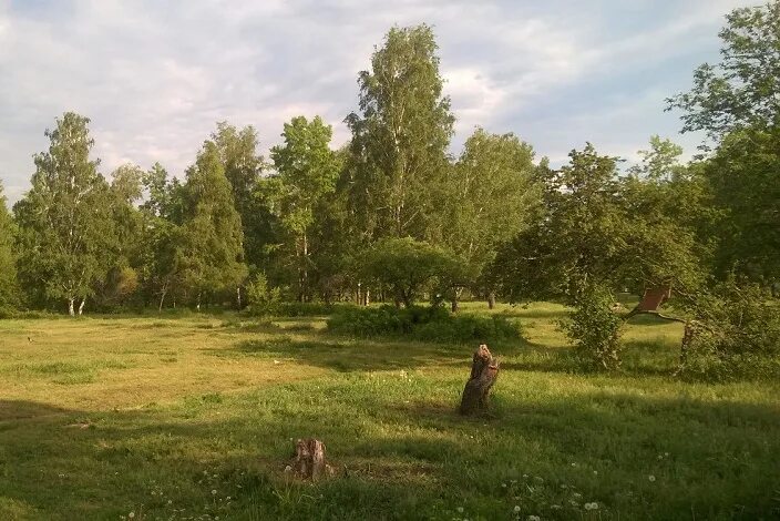 Волки и липки ижевск липовая роща. Grim dawn разлом в равнинах раздора. Роща раздора. Grim dawn открытая карта. Липовый рощи в липецке.