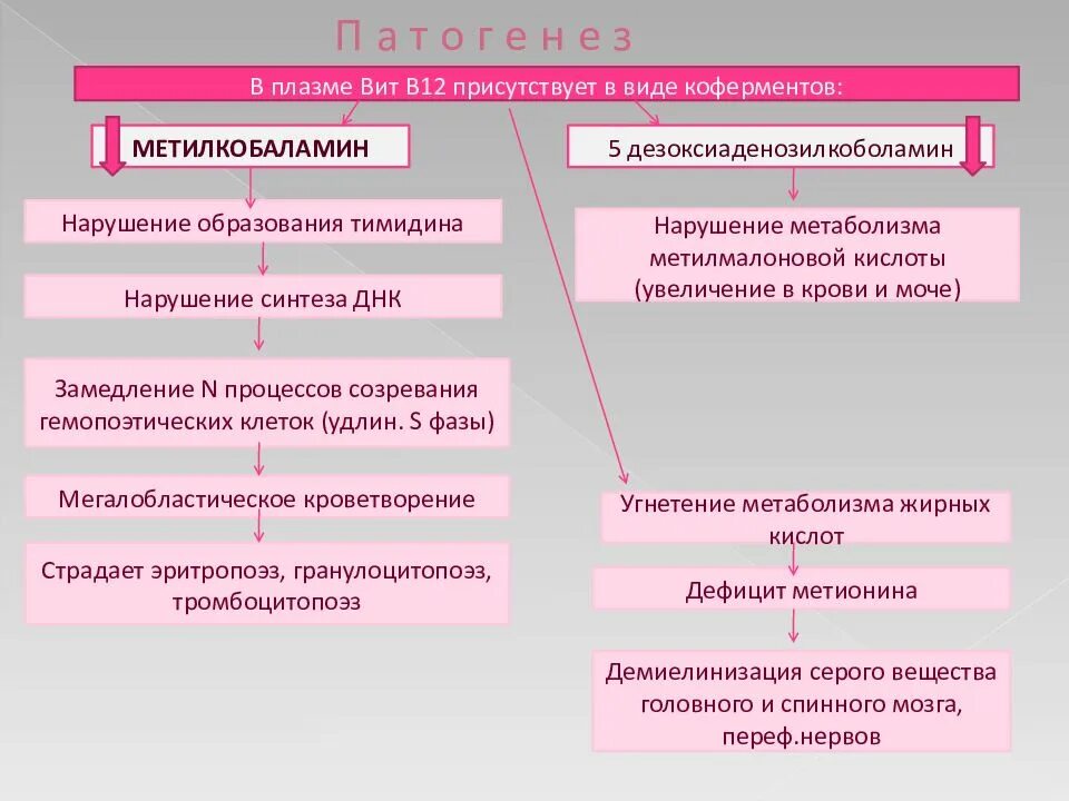 В12 дефицитная анемия симптомы. Механизм развития в12 дефицитной анемии. витамин в12 дефицитная анемия патогенез. в12 дефицитная анемия патогенез кратко. патогенез в12 дефицитной анемии обусловлен.