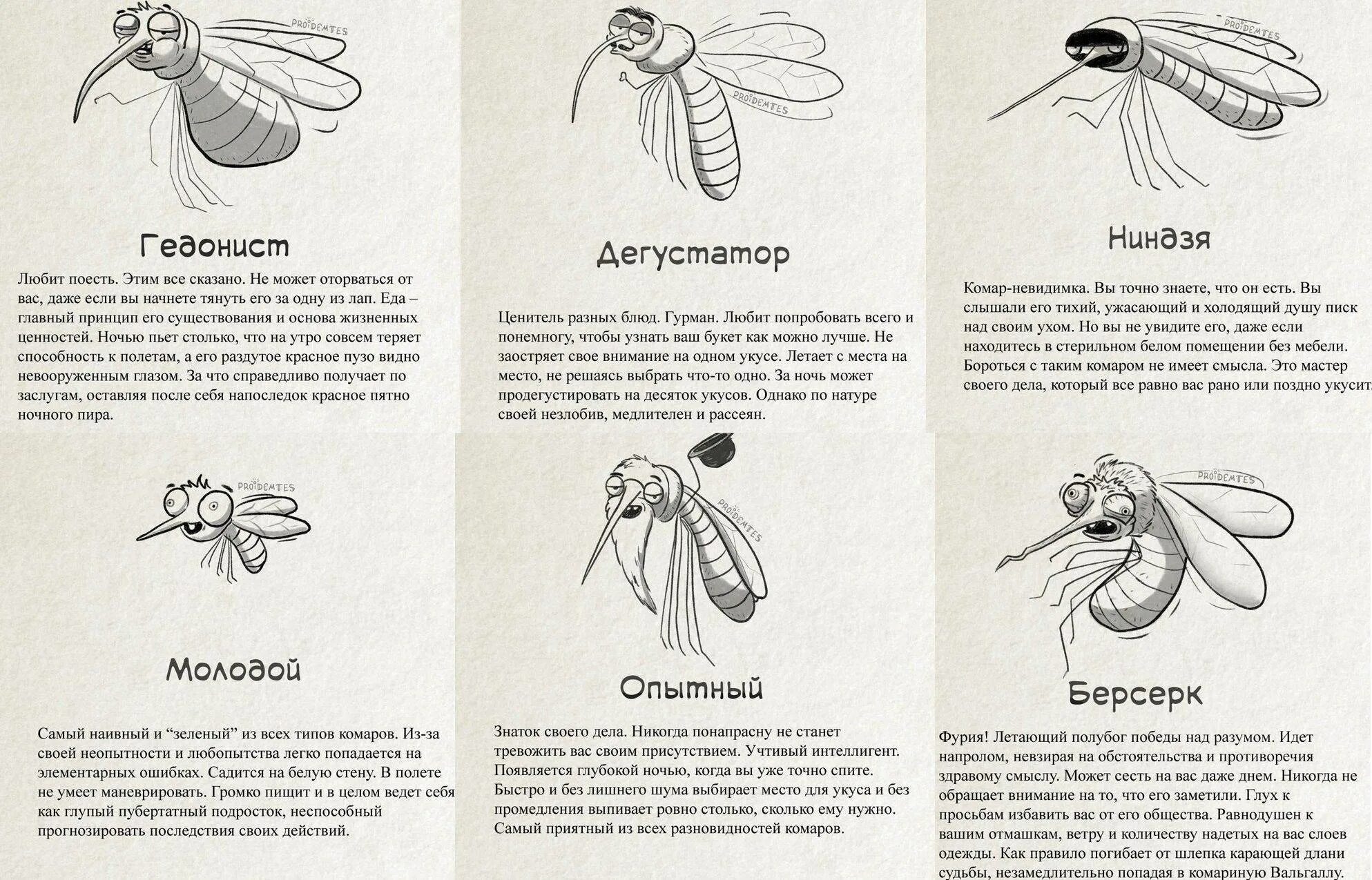 Как понимать муху. Виды комаров. Типы комаров юмор. Классификация комара. Классификация комаров.