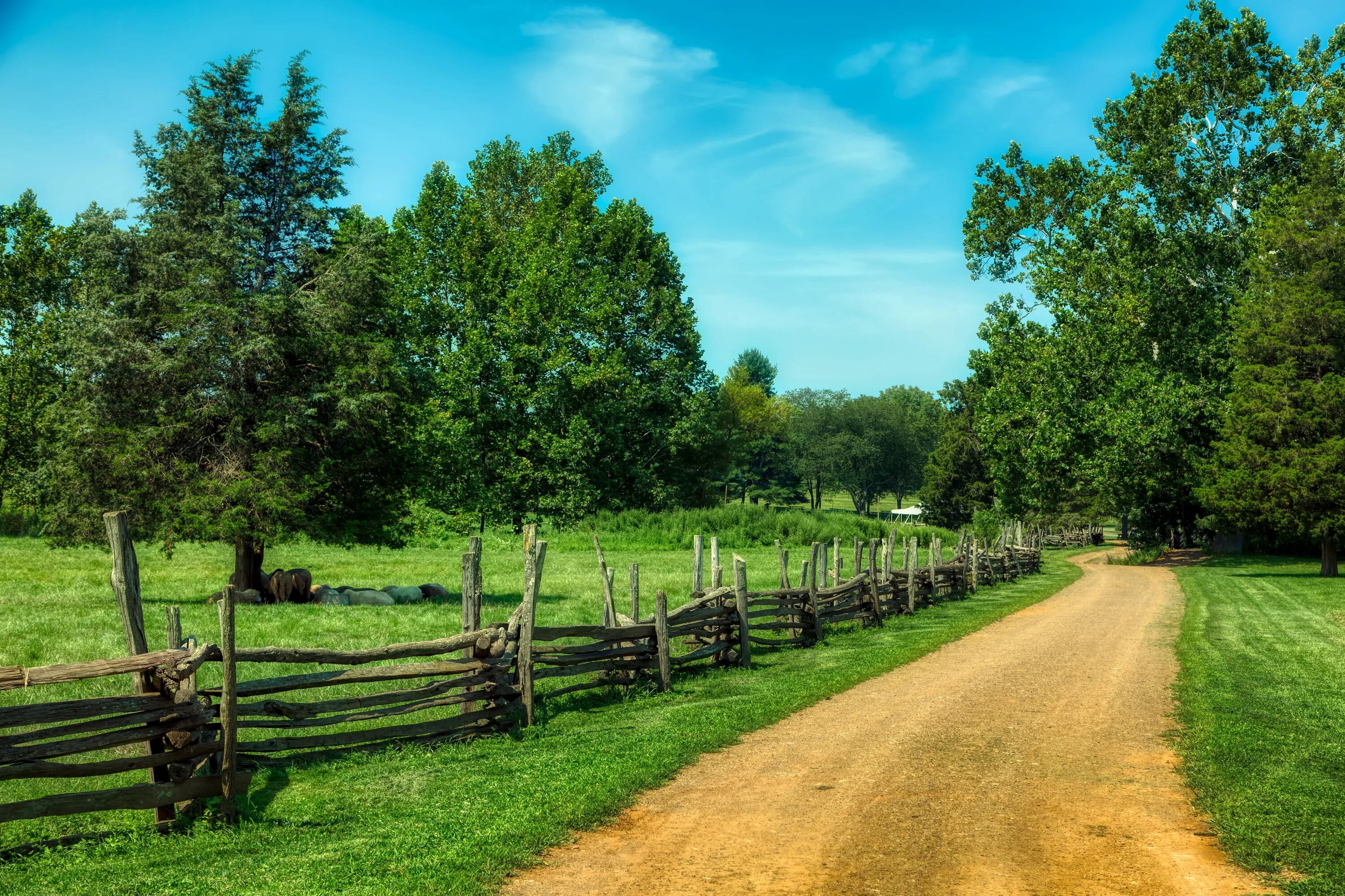 Countryside walks. Забор в поле. Деревенский забор. Дерево в деревне. Природа с забором.