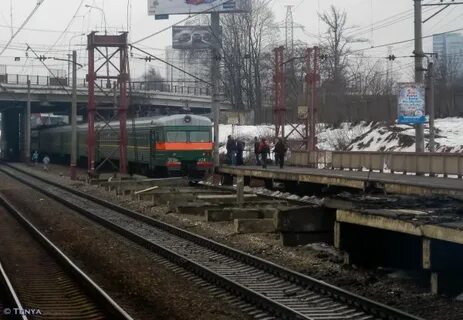 Ленинградская петровско разумовская