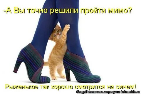 Точно решу