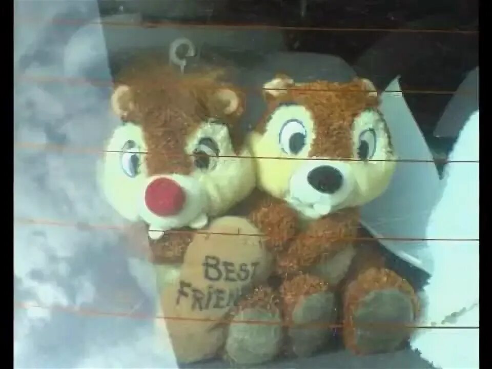 Csore bela. Csore bela