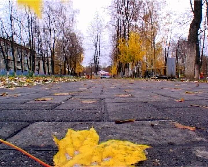 Осеннюю слякоть. Осеннюю слякоть