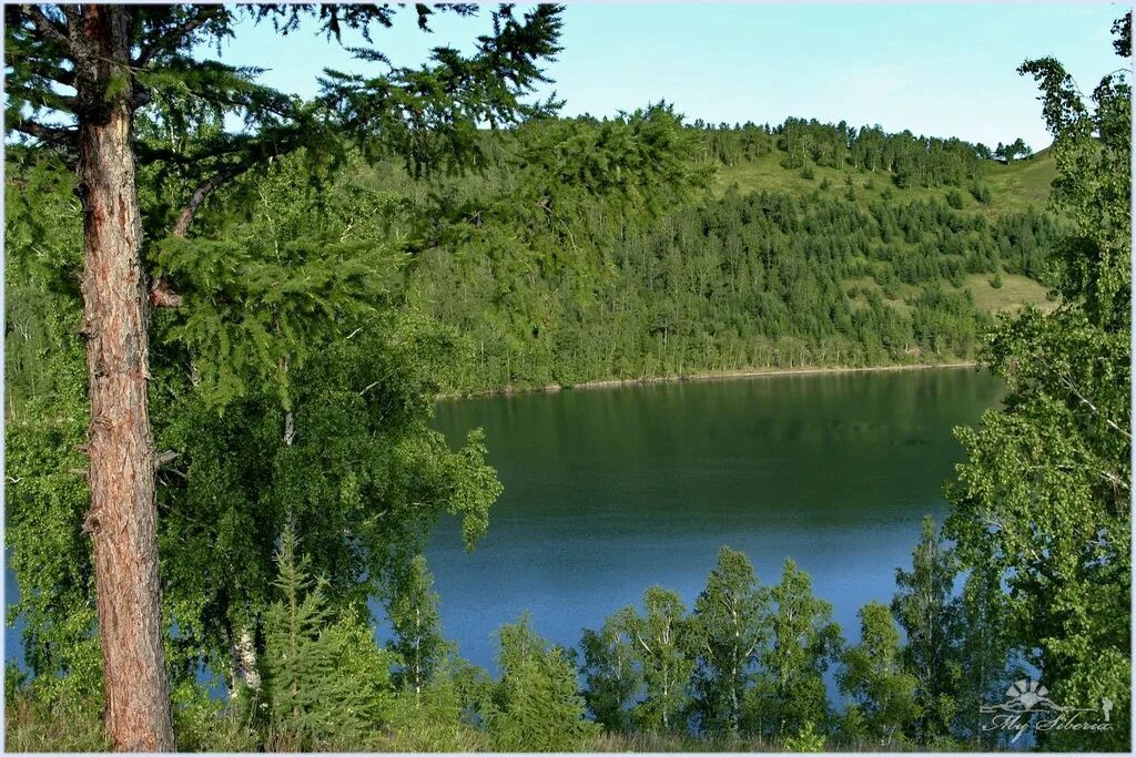 Озеро круглое Шарыповский район. Озеро круглое Шарыпово. Озеро Инголь Шарыповский район. Озеро круглое Хакасия.