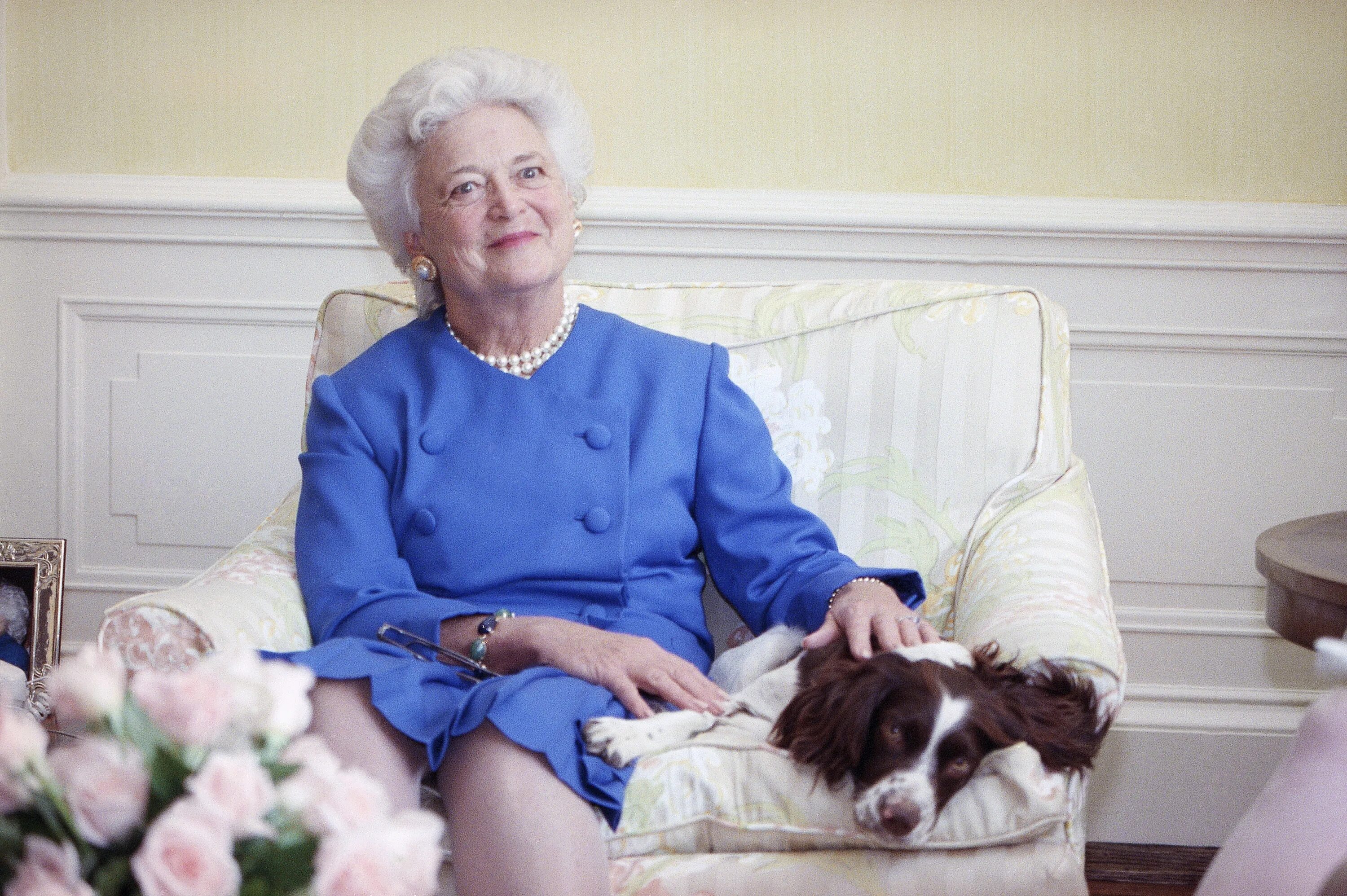 Барбара Буше. Барбара Буш жена президента. Barbara Bush (born 1981). Барбара Буше фото.