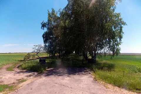 Погода в орловской глазуновском
