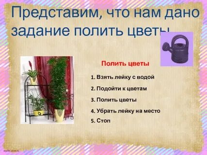 Полив цветов во сне